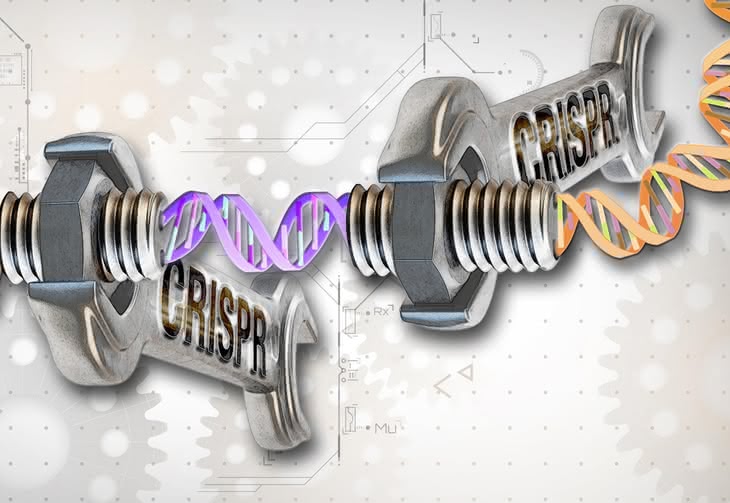 Genesis artificialis - tworzymy DNA, którego natura nie zna