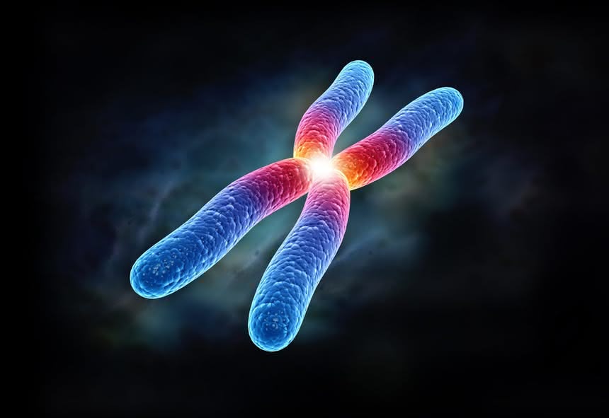 Syntetyczny chromosom drożdży