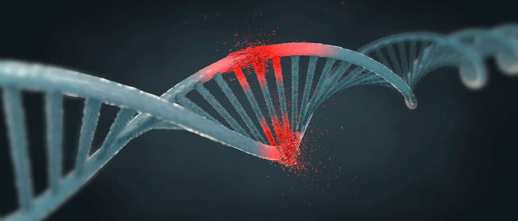 Broń hakerów przyszłości - złośliwy kod DNA