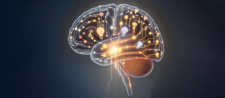 Mózg przetwarza tylko 10 bitów na sekundę. Jak to możliwe?