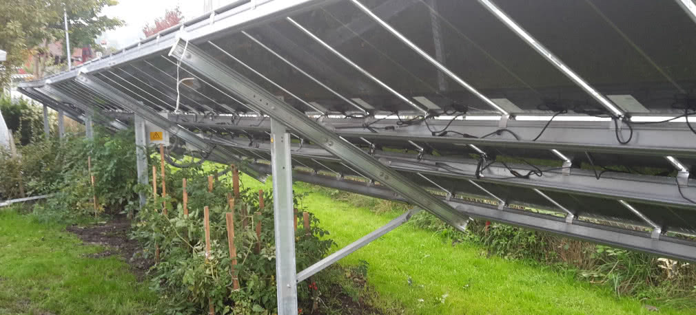Żywią i zasilają w energię