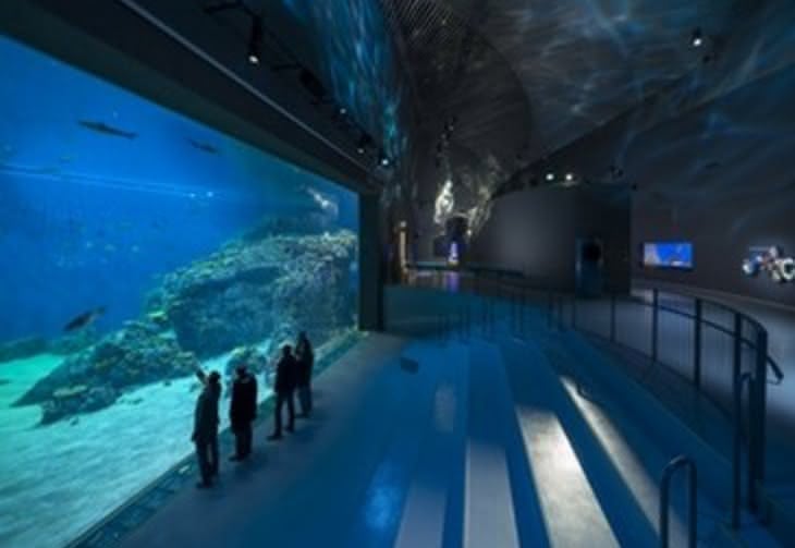 Błękitna Planeta ? największe oceanarium w Europie