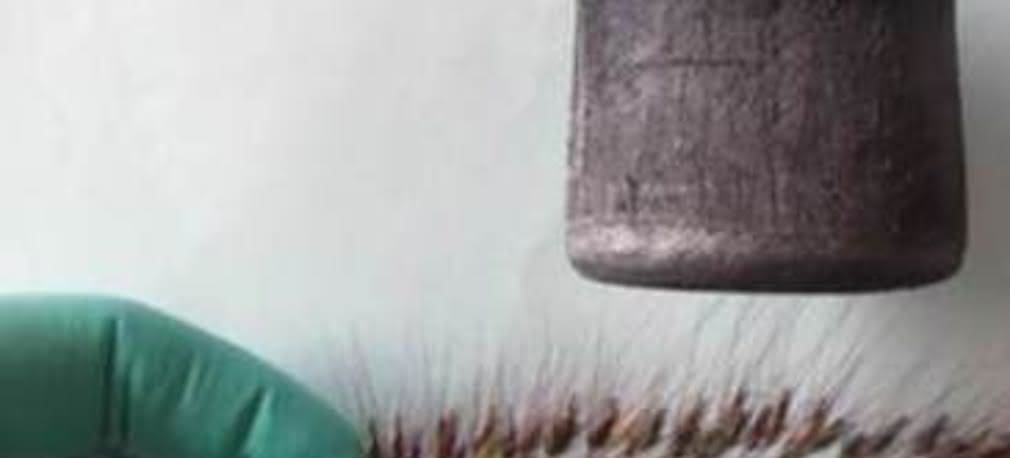 Rekordowo rzadki aerożel z Chin