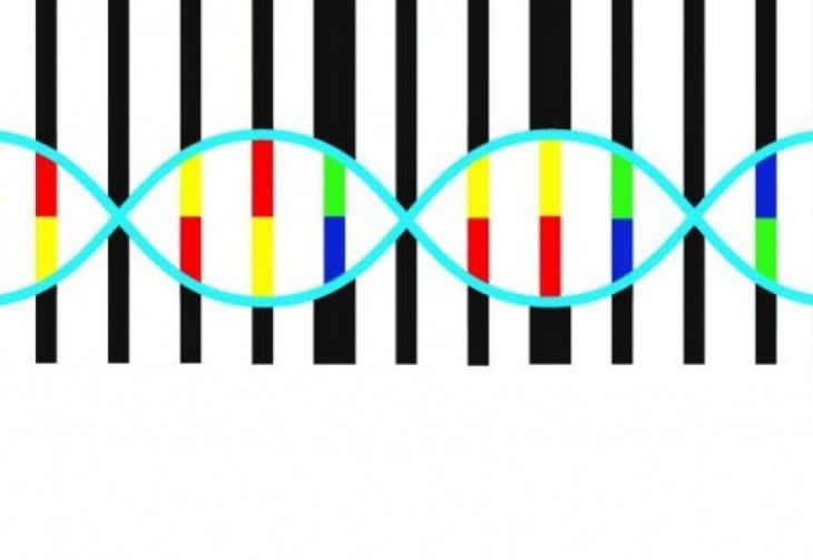 Kod genetyczny do znakowania towarów i przestępców