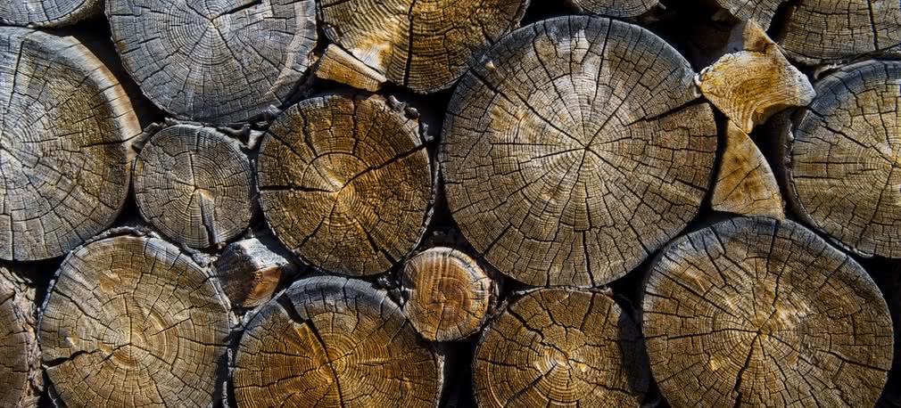 Przezroczyste drewno mocniejsze od szkła