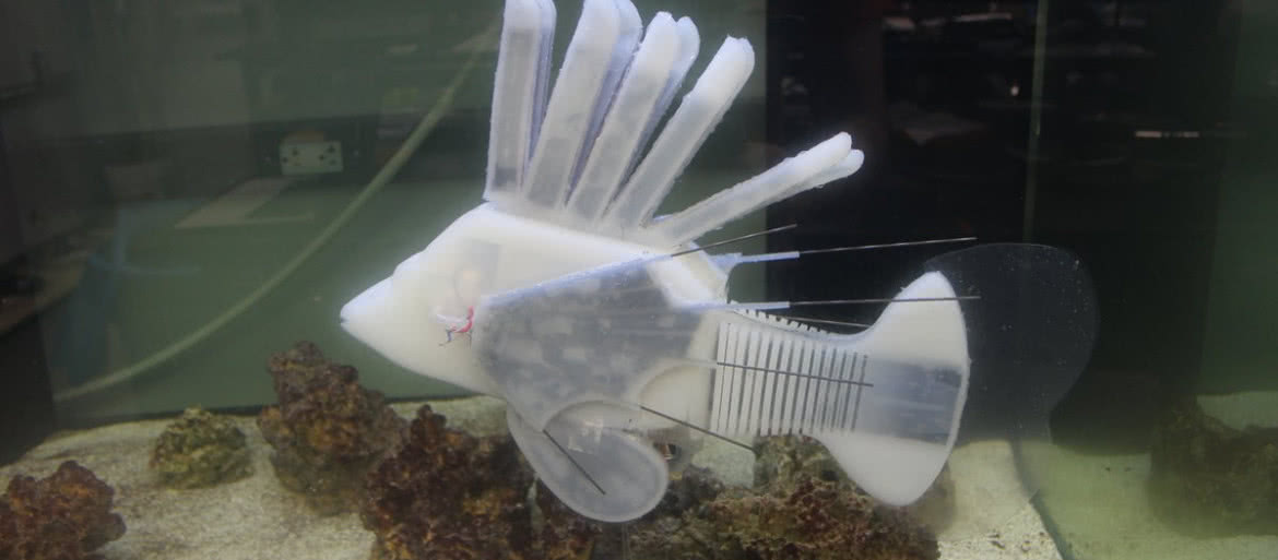 Robotyczna ryba ze sztucznym układem krążenia