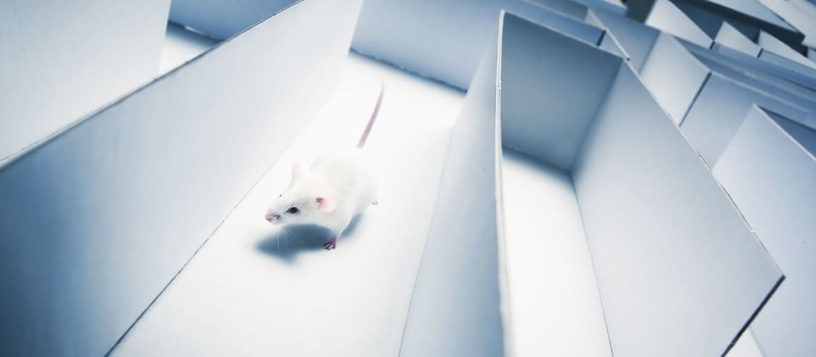 Zdalnie sterowane myszy