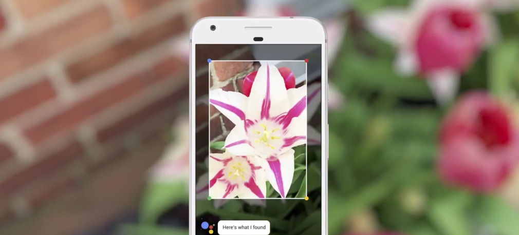 Google Lens: konfiguracja i rozpoznanie
