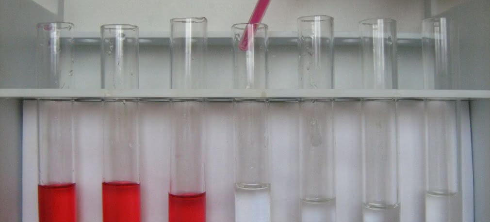 Tajemnice pe-ha (pH). 4. Wskaźniki z lasu i ogrodu