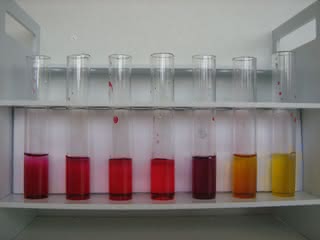 3. Zabarwienie soku z buraków (pH rośnie od lewej do prawej)