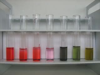 4. Zabarwienie soku z czarnych jagód (pH rośnie od lewej do prawej)