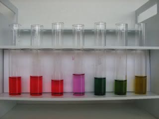 6. Zabarwienie soku z czerwonej kapusty (pH rośnie od lewej do prawej)