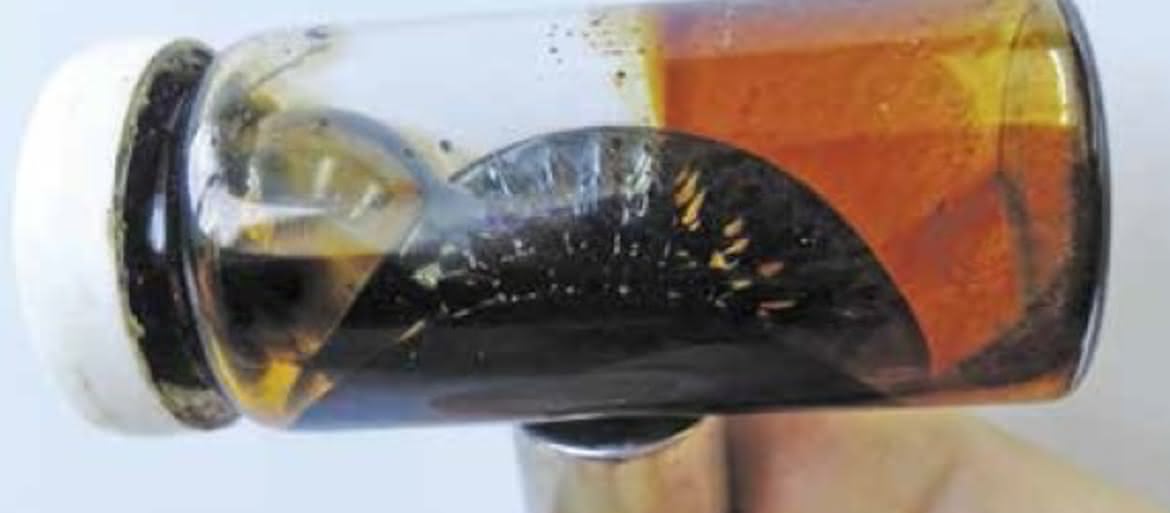 Eksperymenty z ferrofluidami