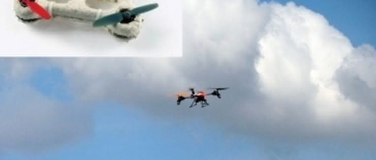 Biologiczny dron