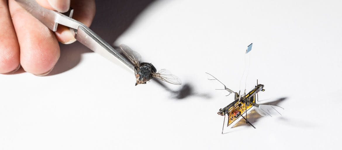 Robotyczne owady latają popychane wiązkami laserowymi
