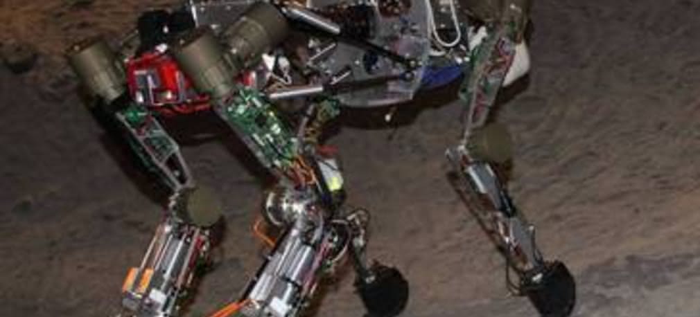 Robot z rzędu naczelnych