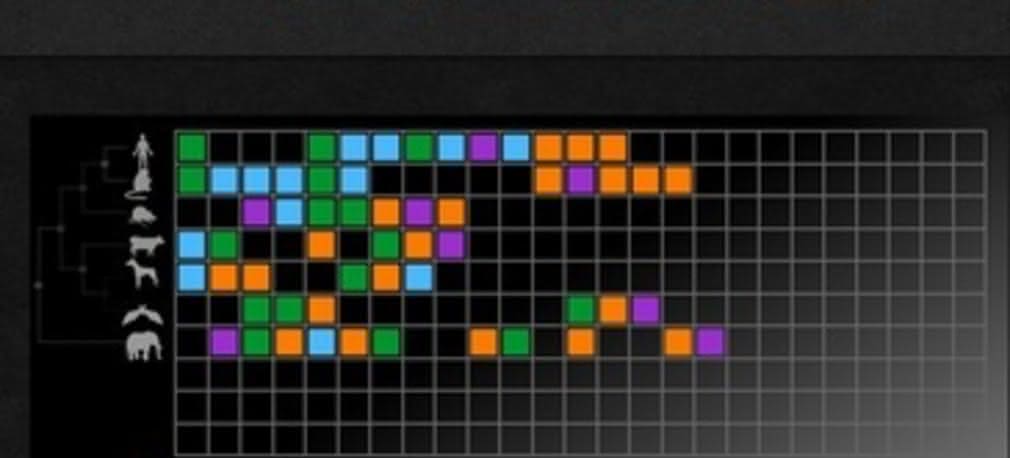 Powstaje genetyczny Tetris