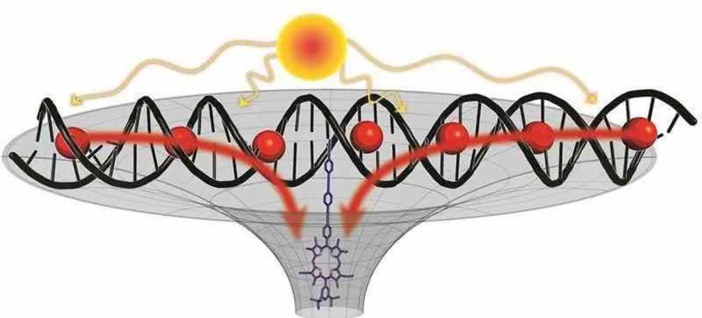 Sztuczna fotosynteza, jako alternatywne źródło energii