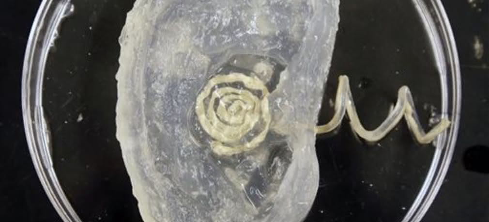 Bioniczne ucho z drukarki 3D