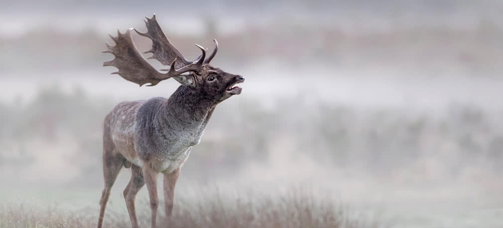Kreatywne fotografowanie - Cuda przyrody