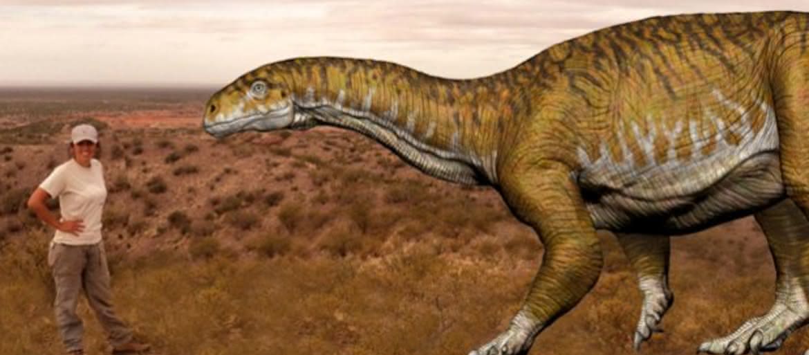 Nowy gatunek dinozaura odkryty w Argentynie