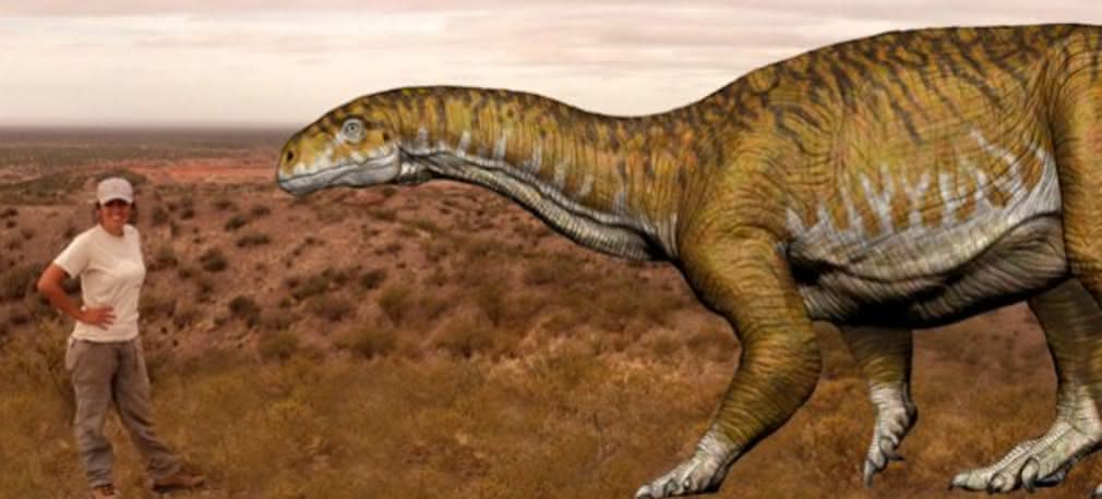Nowy gatunek dinozaura odkryty w Argentynie