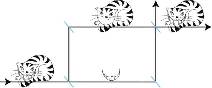 Model eksperymentu: kot z Cheshire – kot to neutron, a uśmiech to spin neutronu