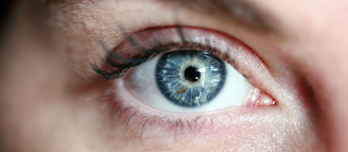 Implant, który przywróci wzrok niewidomym