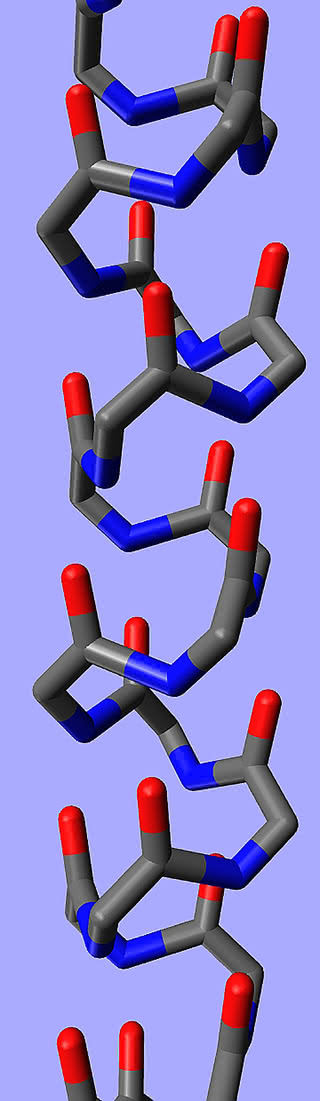Model alfa-helisy białka (dla lepszego uwidocznienia struktury fragment zbudowany jest z glicyny i pominięto atomy wodoru).