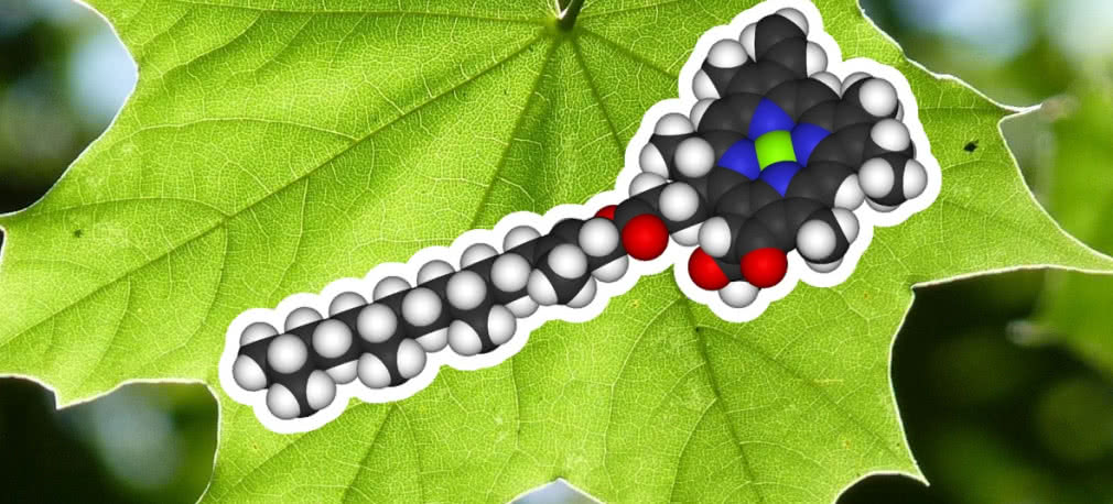 Grupa druga. Mistrz wagi lekkiej - część 2