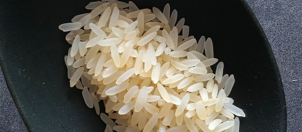 Genetycznie zmodyfikowany ryż pomoże w walce z HIV