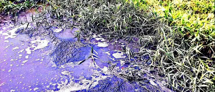 Sztuczna gąbka usunie z rzek szkodliwe barwniki