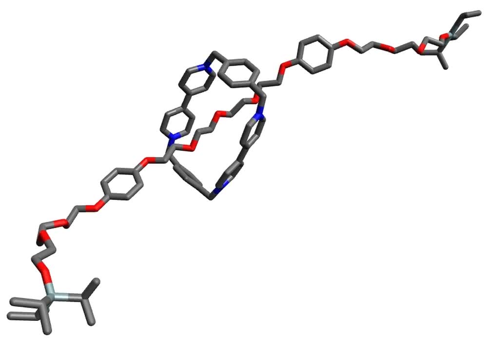 Model jednego z rotaksanów (przy końcach znajdują się atomy krzemu w kolorze srebrzystoszarym)