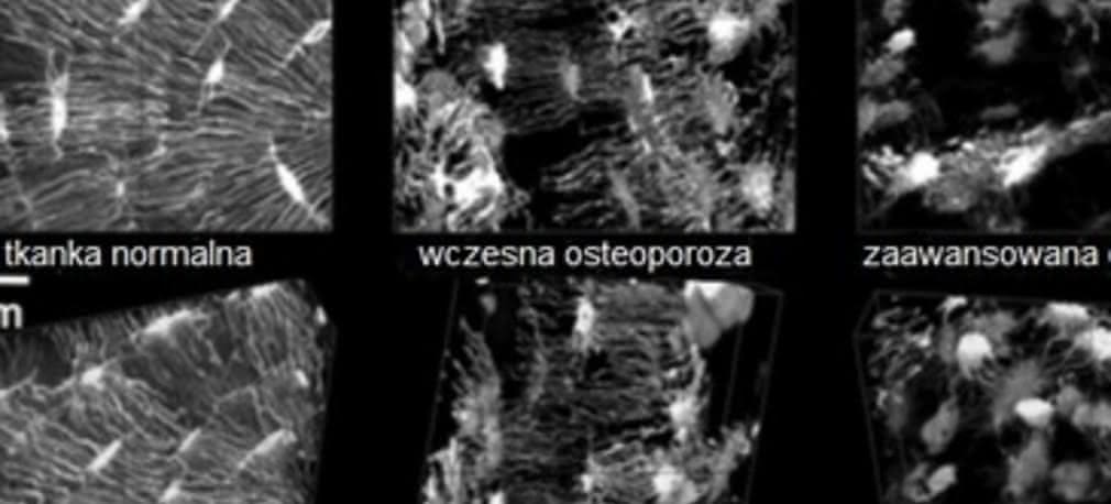 Google Maps dla ludzkiego organizmu