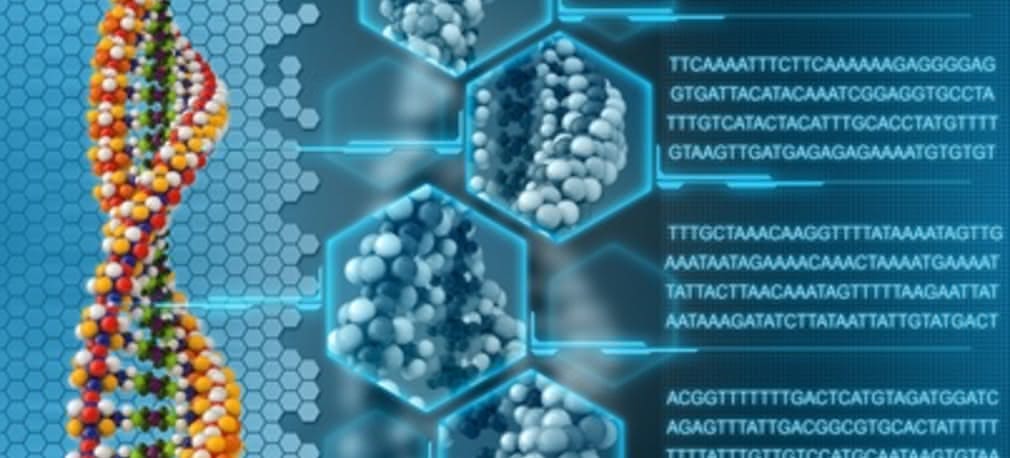 Język programowania dla sztucznego DNA