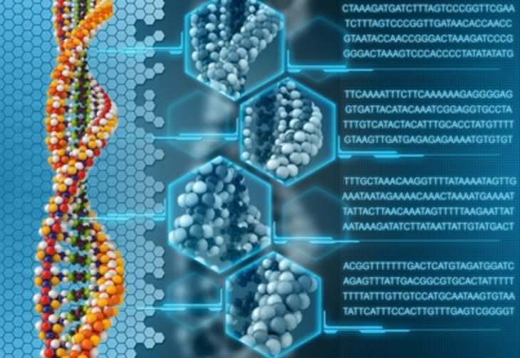 Język programowania dla sztucznego DNA