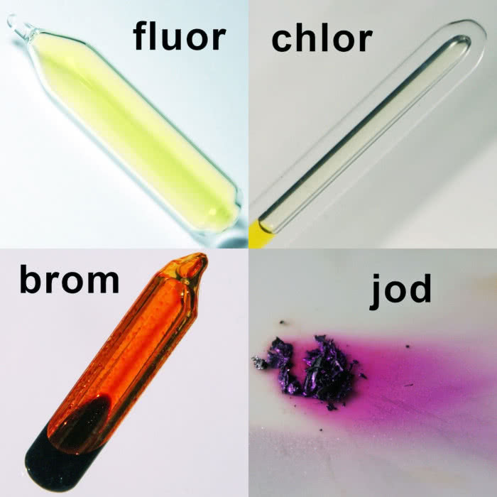 Fluorowce - fluor w ampułce pod wysokim ciśnieniem, aby lepiej uwidocznić jego barwę; gazowy chlor znajduje się nad skroplonym