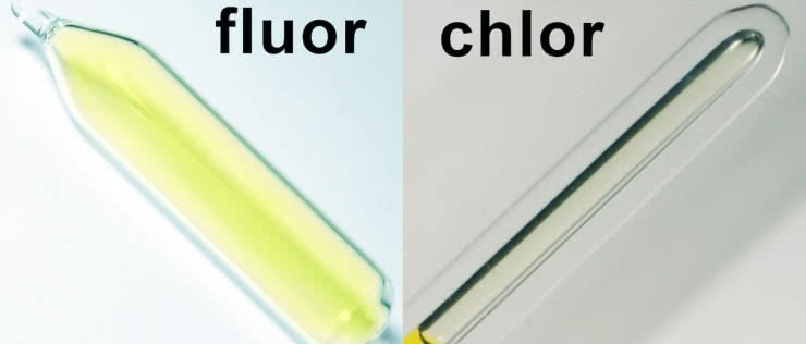 Te, które tworzą sole - Fluorowce i fluor